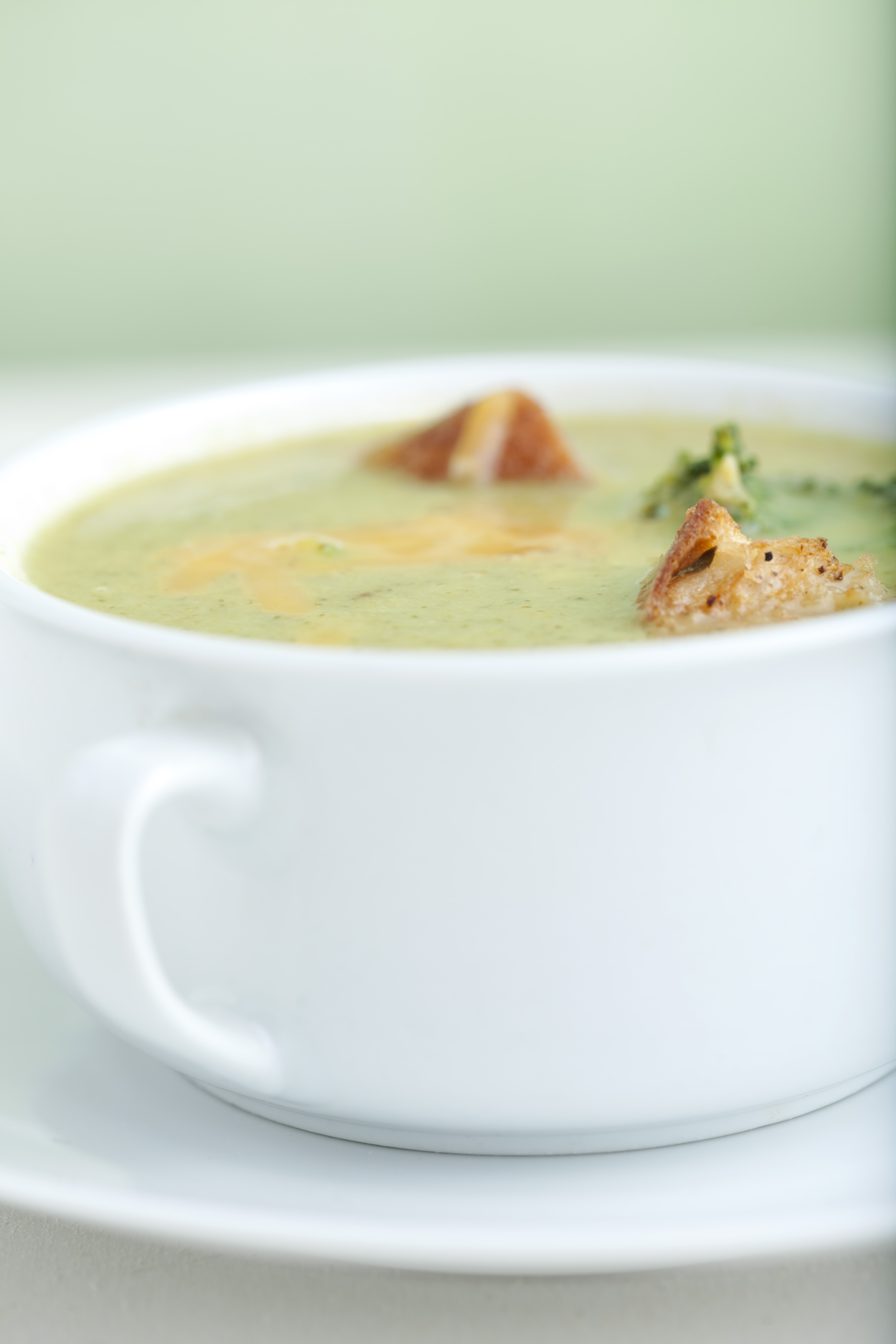 Broccoli And Cheese Soup